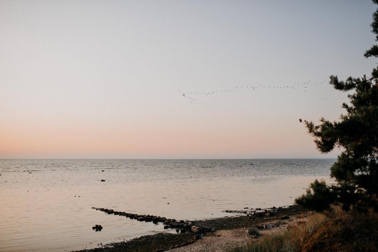 Magnolia Park Βίλα Engure Εξωτερικό φωτογραφία